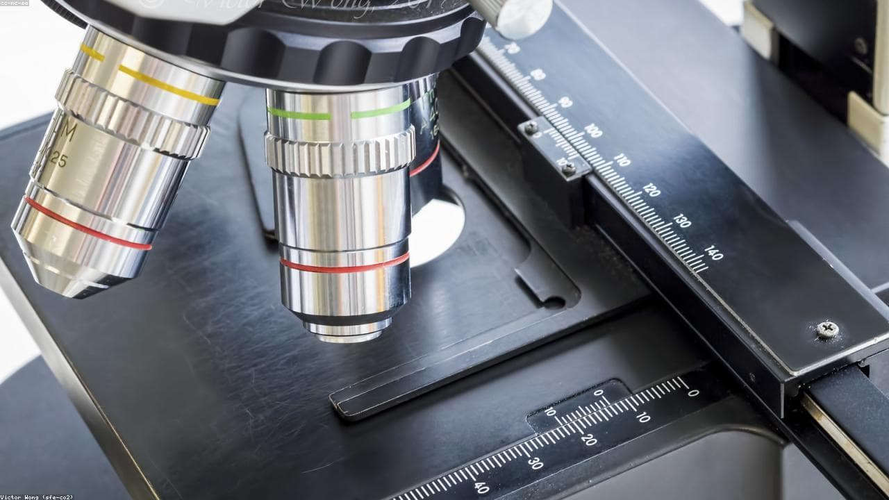 Analisi di laboratorio